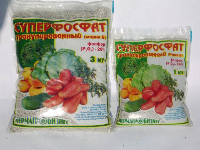 Fertilizers for carrots and beets