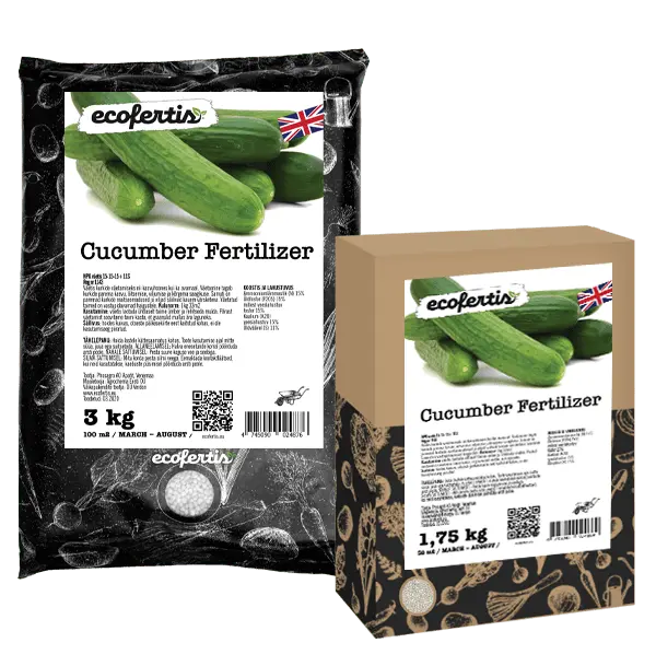 Fertilizers for cucumbers in the greenhouse