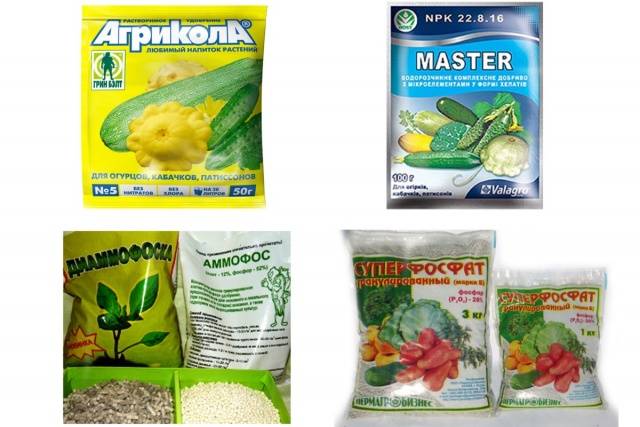 Fertilizers for cucumbers: phosphoric, green, natural, eggshell