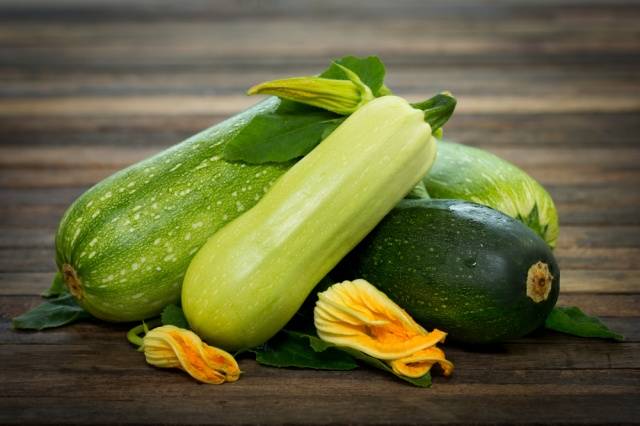 Fertilizers for zucchini in the open field