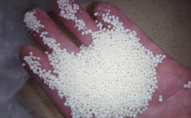 Fertilizers urea (urea) and saltpeter: which is better, differences