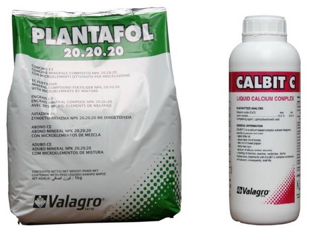 Fertilizers with calcium for tomatoes