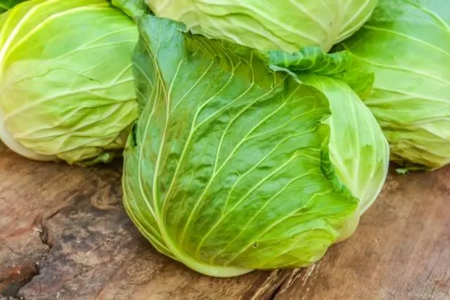 Fertilizing cabbage seedlings