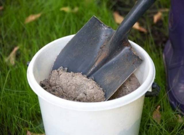 Fertilizing carrots in spring 