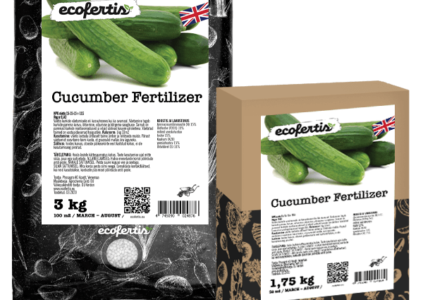 Fertilizing cucumbers with organic fertilizers 