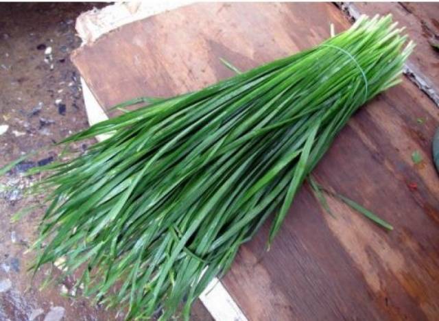 Fertilizing onions with yeast