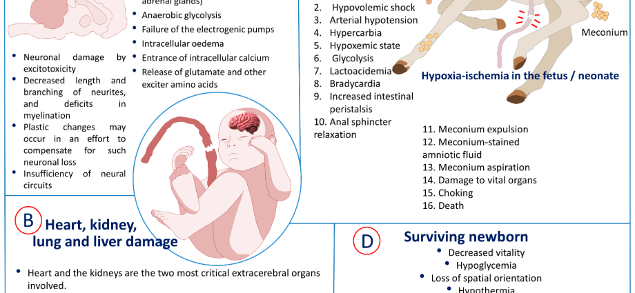 Fetal asphyxia &#8211; what is it characterized by?