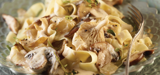 Fettuccine with porcini mushrooms: in creamy sauce, with bacon, chicken