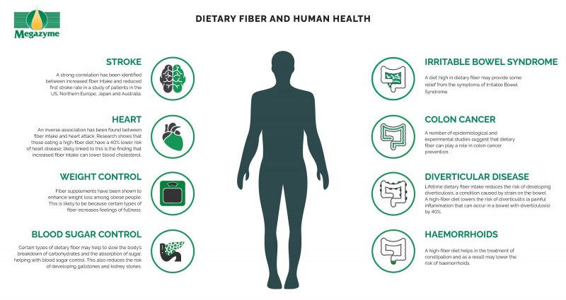 Fiber &#8211; how does it affect our body and in what products is the most?