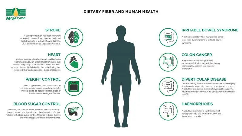 Fiber &#8211; how does it affect our body and in what products is the most?