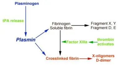 Fibrin / fibrinogen degradation products (FDP)