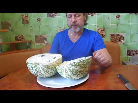 Ficifolia fig-leaved pumpkin: photos, recipes