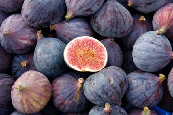 Fig jam: cooking recipes