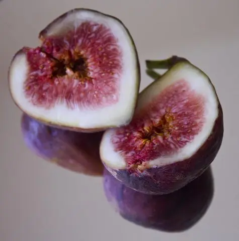 Fig Sabrucia