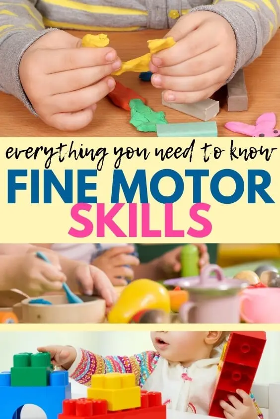 Fine motor skills &#8211; characteristics, disorders and developing exercises