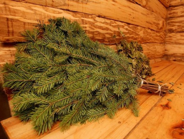 Fir broom for a bath: benefits and harms