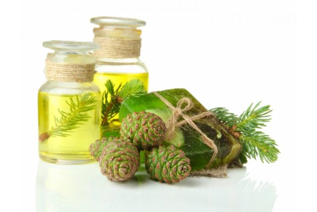 Fir essential oil: properties and applications, reviews