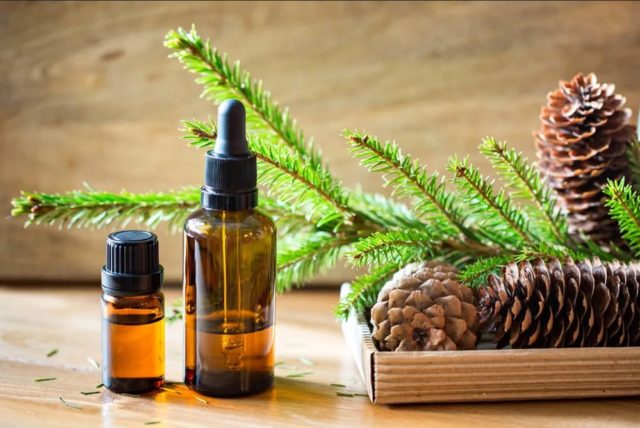 Fir essential oil: properties and applications, reviews