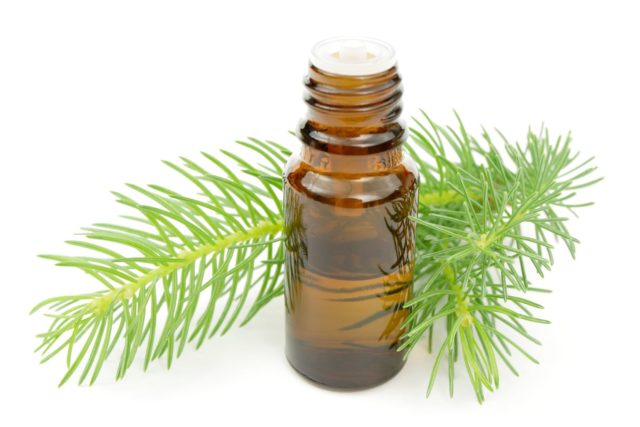 Fir essential oil: properties and applications, reviews