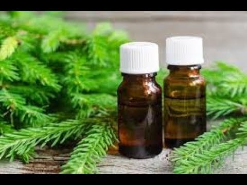 Fir essential oil: properties and applications, reviews