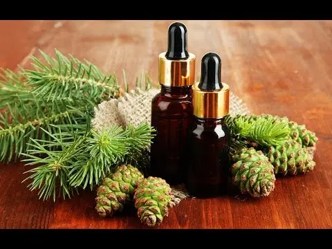 Fir oil for the common cold, cough, colds, SARS: baths, inhalations