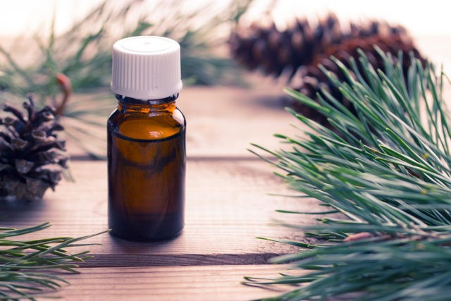 Fir oil: medicinal properties and contraindications