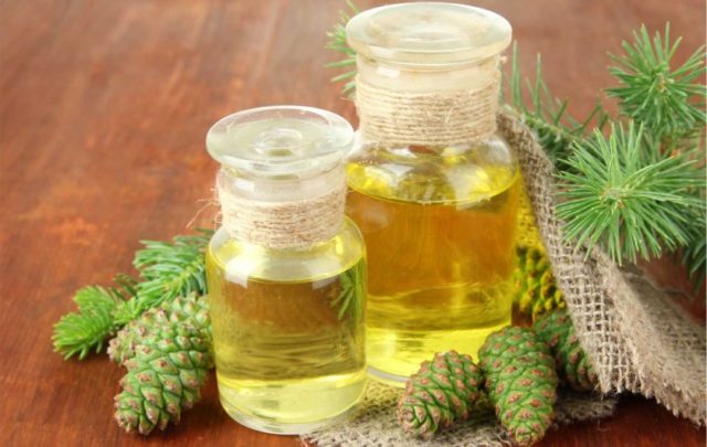 Fir oil: medicinal properties and contraindications