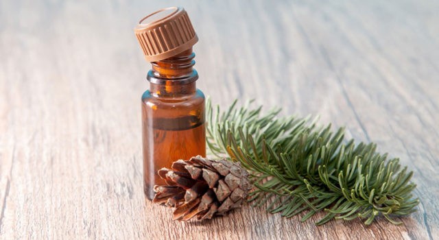 Fir oil: medicinal properties and contraindications