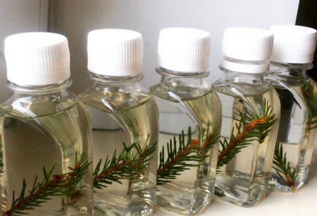 Fir oil: medicinal properties and contraindications