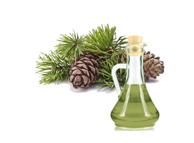 Fir oil: medicinal properties and contraindications for periodontitis