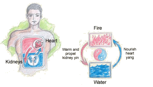 Fire in the kidneys