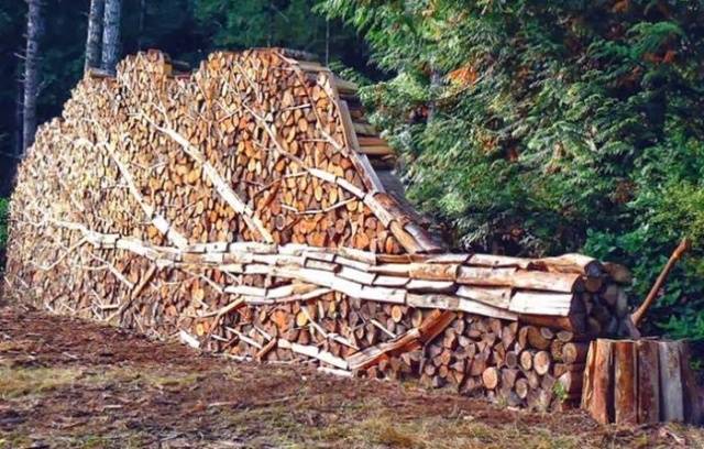 Firewood for own needs