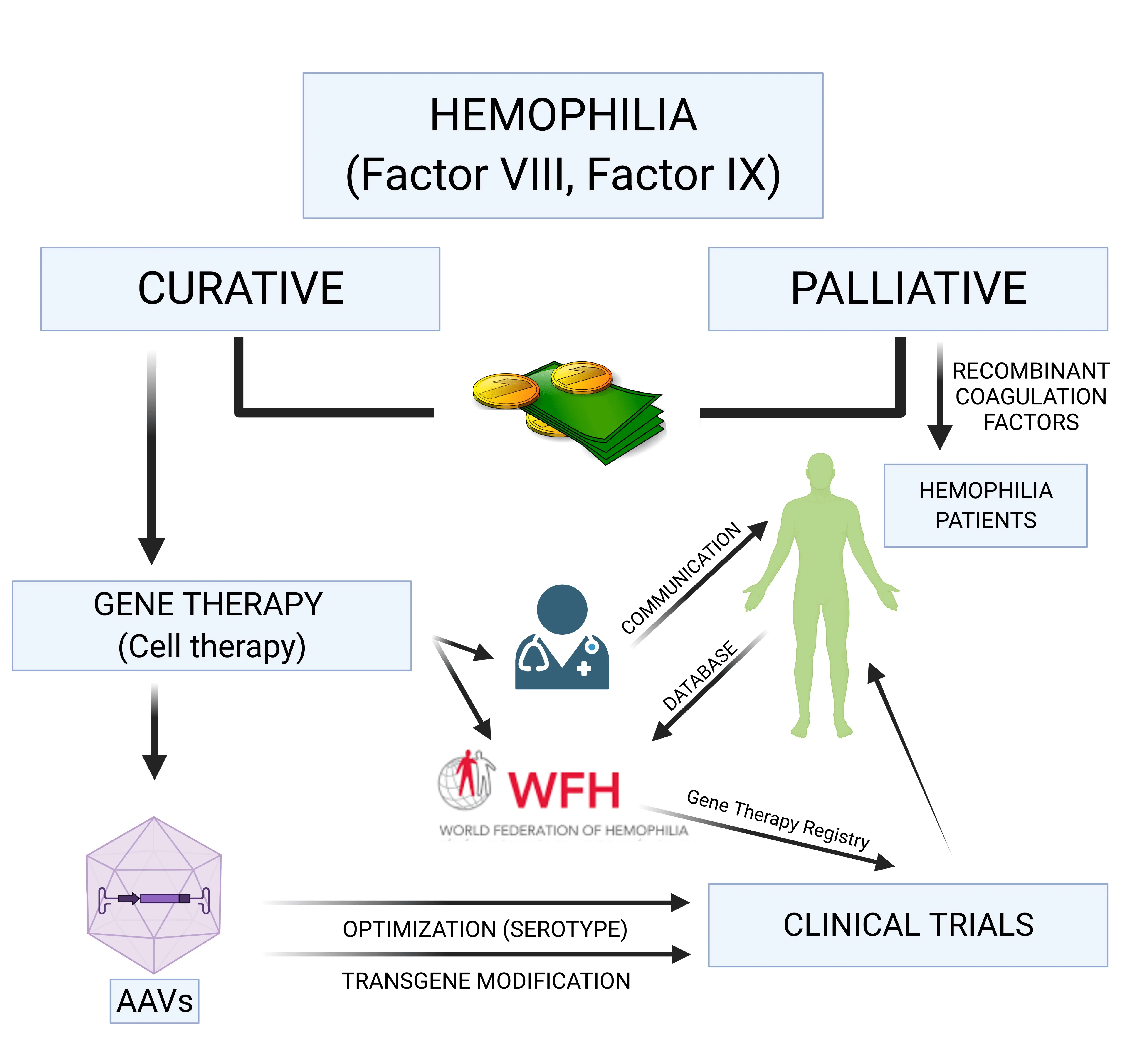 First clinical trials of gene therapy for hemophilia