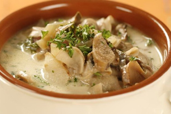 First courses with mushrooms: cooking recipes with photos