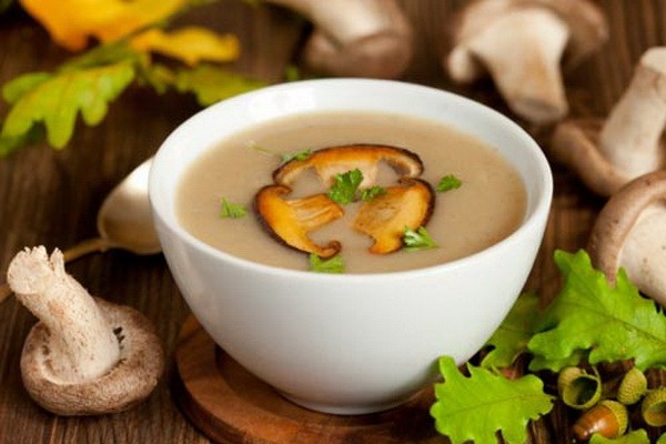 First courses with mushrooms: cooking recipes with photos