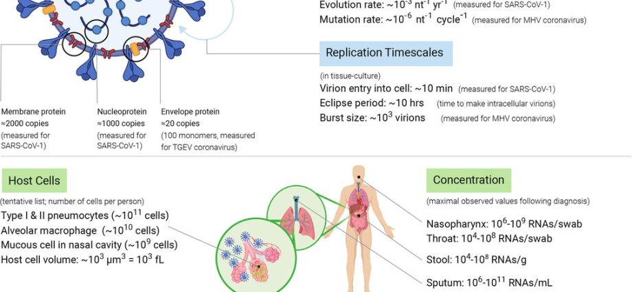 Five diseases that can be confused with COVID-19