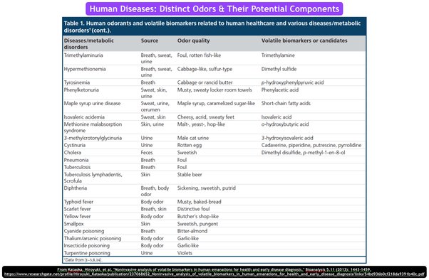 Five diseases that… can be recognized by their unpleasant smell!