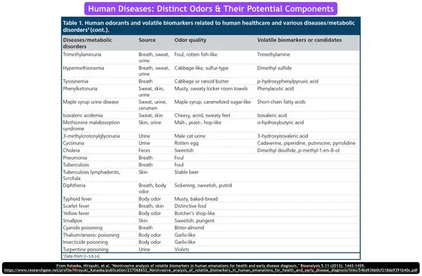 Five diseases that… can be recognized by their unpleasant smell!