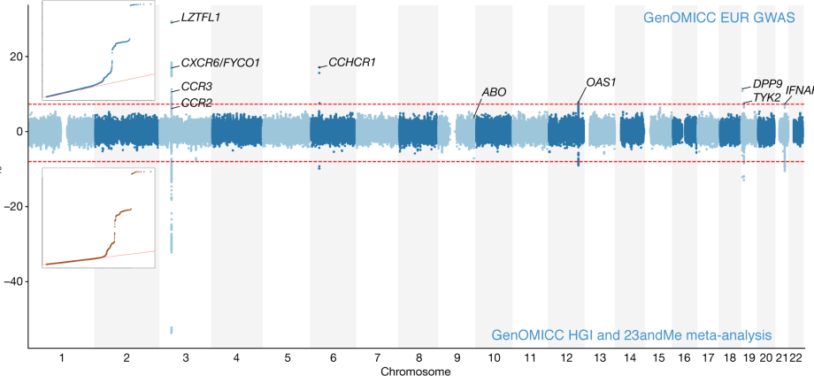 Five genes that influence your risk of dying from COVID-19