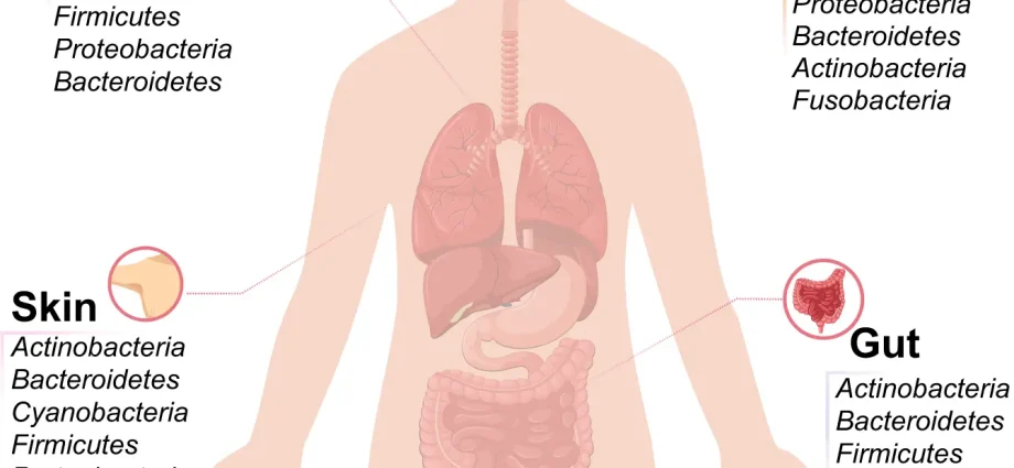 Five symptoms that may indicate a disturbed intestinal bacterial flora