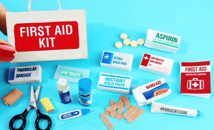 Five things every parent must have in a first aid kit