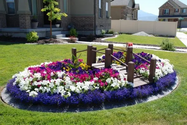 Flower bed design: original and unusual solutions