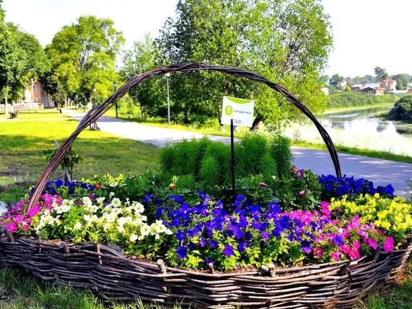 Flower bed design: original and unusual solutions