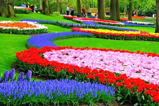 Flower bed design: original and unusual solutions