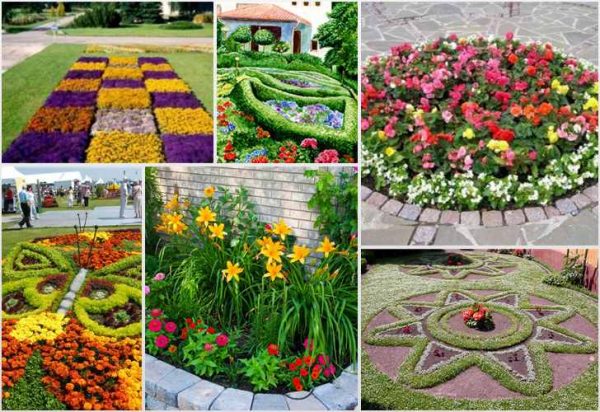 Flower bed design: original and unusual solutions