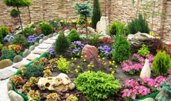 Flower bed with roses: options and ideas for arrangement