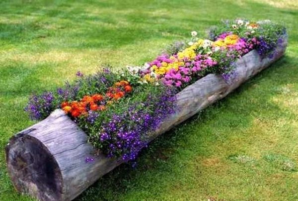 Flower beds made of wood: how to do it yourself