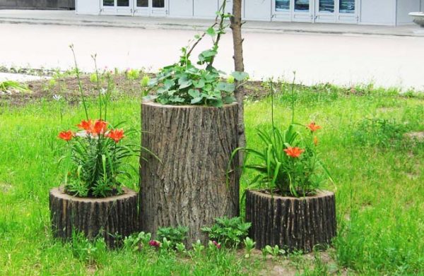 Flower beds made of wood: how to do it yourself