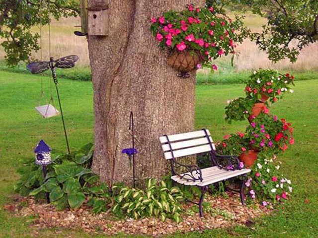 Flower garden around a tree in the country: luxurious ideas of designers + photo