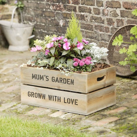 Flower garden from wooden and plastic boxes: bright and stylish ideas + photos